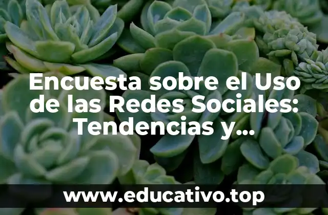 Encuesta sobre el Uso de las Redes Sociales: Tendencias y Estadísticas