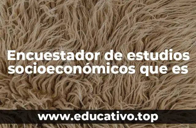 Encuestador de estudios socioeconómicos que es