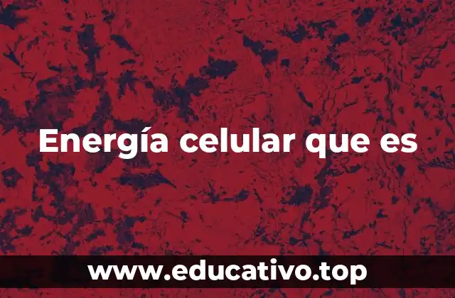 Energía celular que es