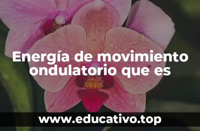 Energía de movimiento ondulatorio que es