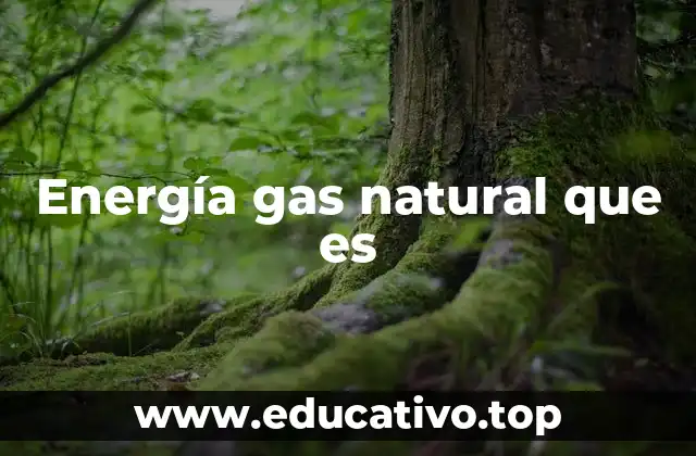 Energía gas natural que es