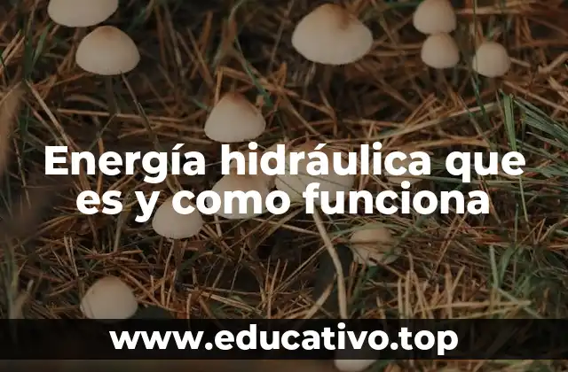 Energía hidráulica que es y como funciona