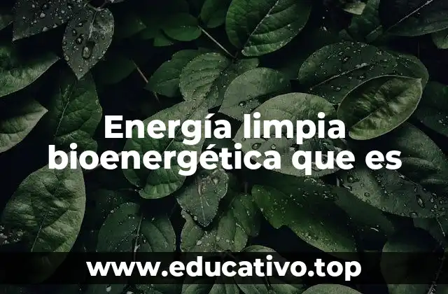 Energía limpia bioenergética que es