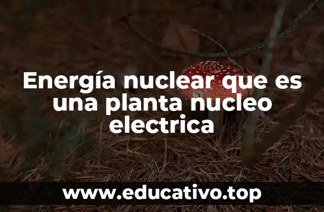 Energía nuclear que es una planta nucleo electrica