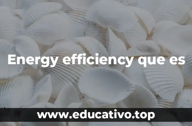 Energy efficiency que es