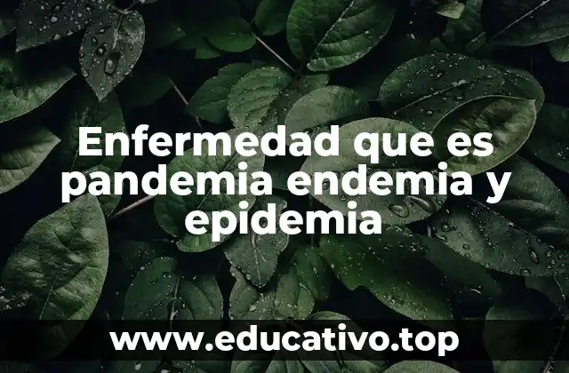 Cómo se clasifican las enfermedades según su expansión