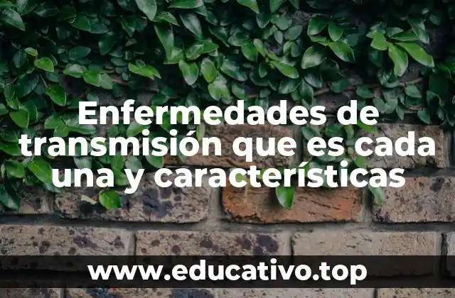 Enfermedades de transmisión que es cada una y características