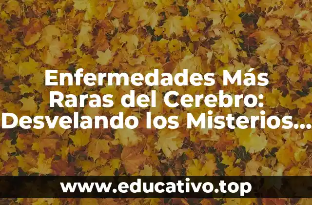 Enfermedades Más Raras del Cerebro: Desvelando los Misterios de la Salud Neural
