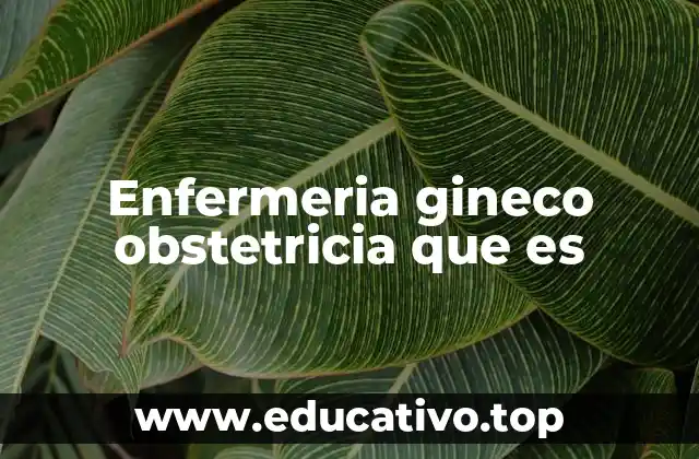 Enfermeria gineco obstetricia que es