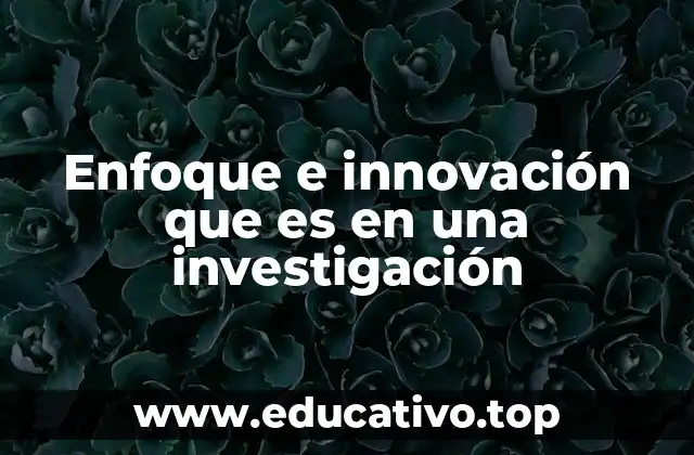 Enfoque e innovación que es en una investigación