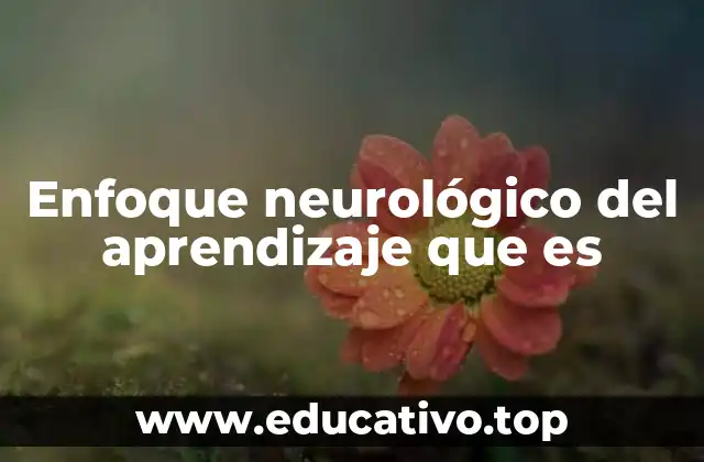Enfoque neurológico del aprendizaje que es