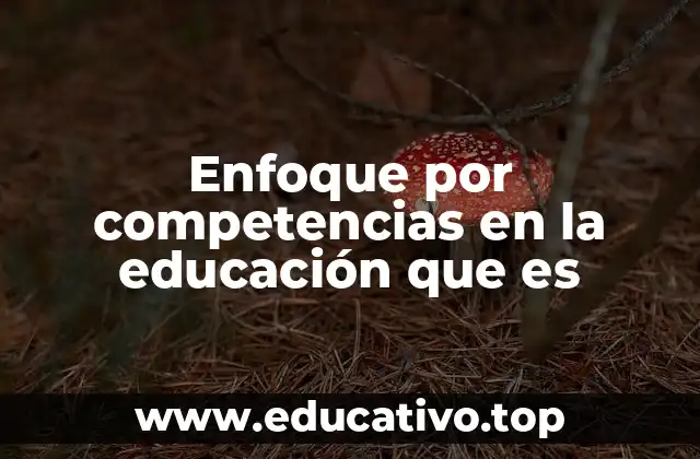 Enfoque por competencias en la educación que es