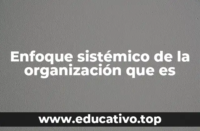 Enfoque sistémico de la organización que es