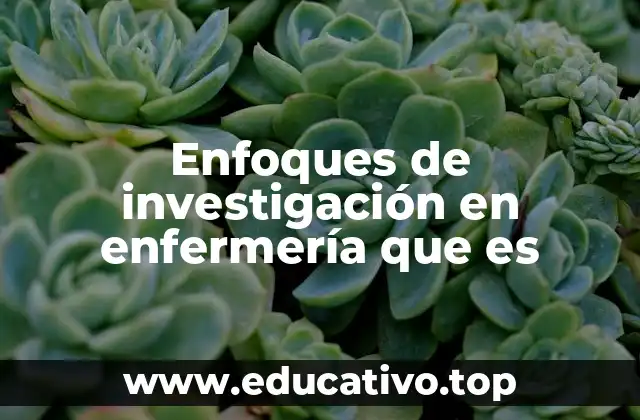 Enfoques de investigación en enfermería que es