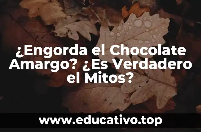 ¿Engorda el Chocolate Amargo? ¿Es Verdadero el Mitos?