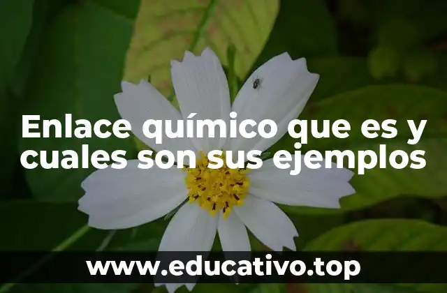 Enlace químico que es y cuales son sus ejemplos