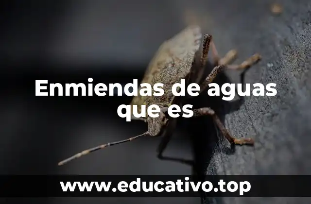 Enmiendas de aguas que es