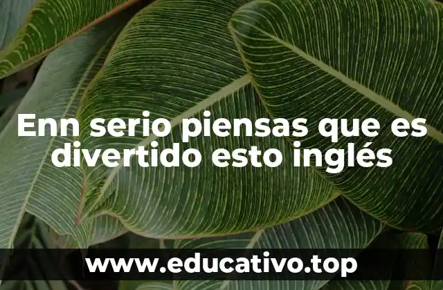 Enn serio piensas que es divertido esto inglés