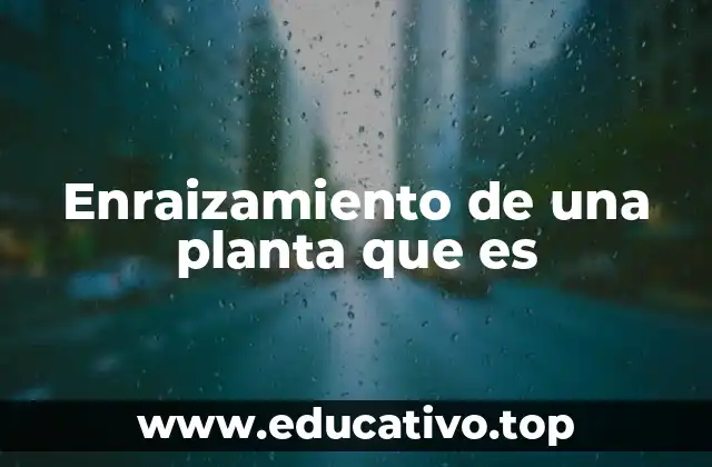 Enraizamiento de una planta que es