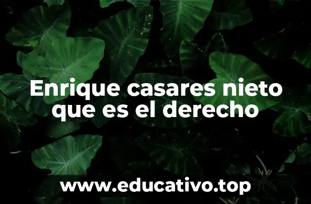 La importancia del derecho en la sociedad contemporánea