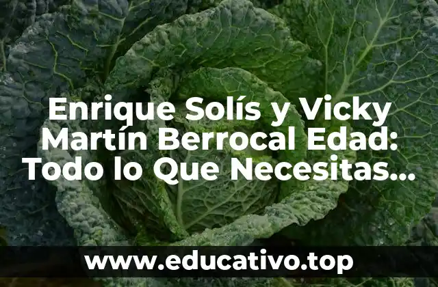 Enrique Solís y Vicky Martín Berrocal Edad: Todo lo Que Necesitas Saber