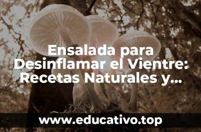 Ensalada para Desinflamar el Vientre: Recetas Naturales y Efectivas
