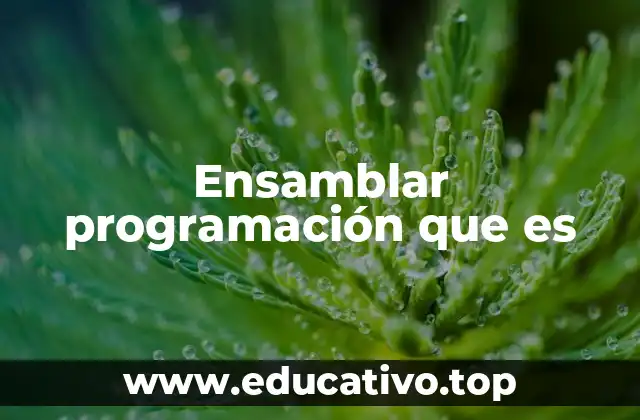 Ensamblar programación que es