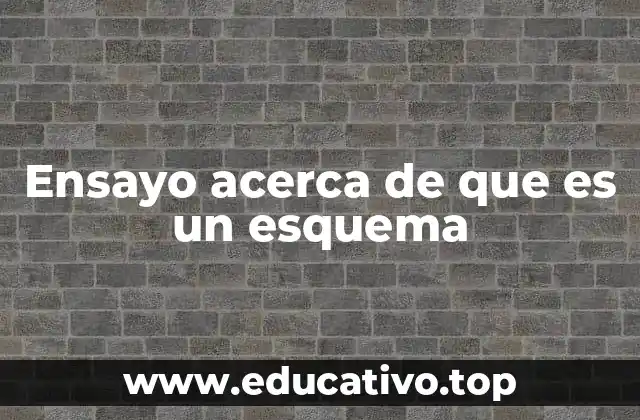Ensayo acerca de que es un esquema