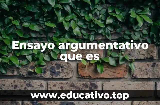 Ensayo argumentativo que es