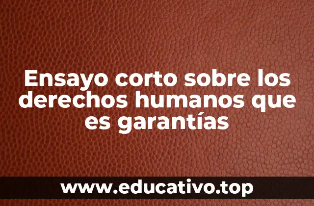 Ensayo corto sobre los derechos humanos que es garantías