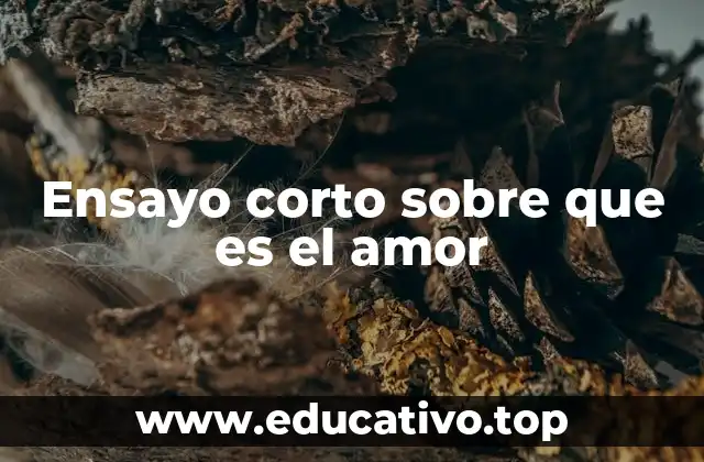 Ensayo corto sobre que es el amor