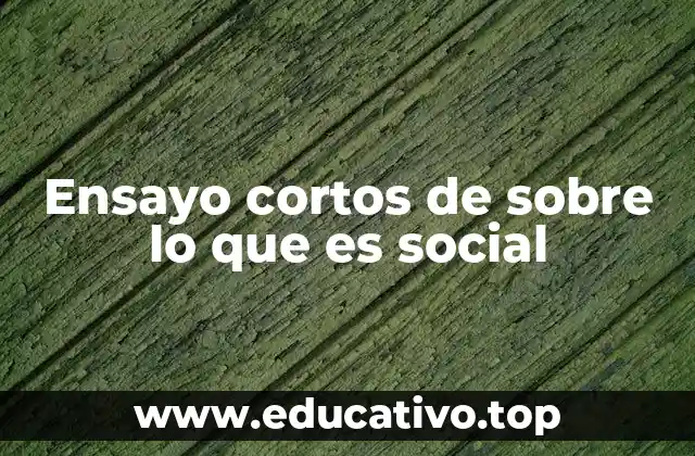 La importancia de reflexionar sobre lo social en la vida moderna