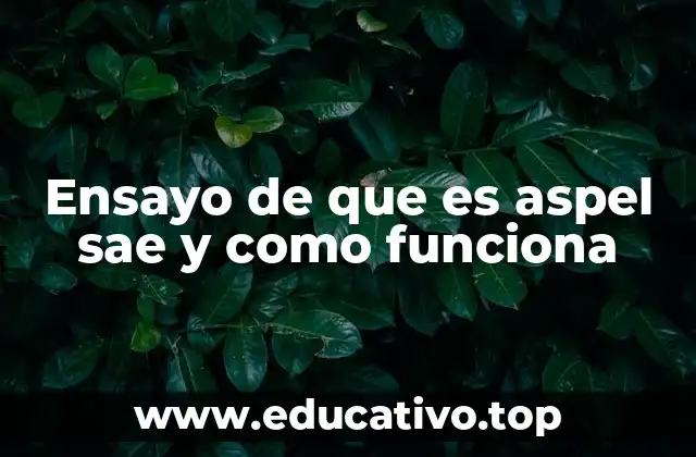 Ensayo de que es aspel sae y como funciona