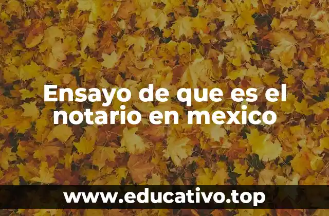 Ensayo de que es el notario en mexico