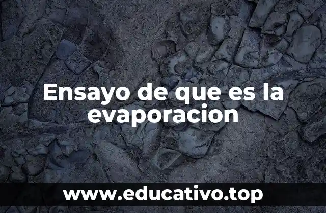 Ensayo de que es la evaporacion
