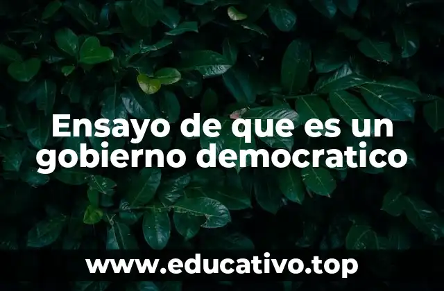 Ensayo de que es un gobierno democratico