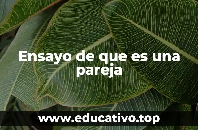 Ensayo de que es una pareja