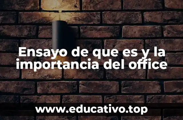 Ensayo de que es y la importancia del office