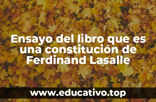 Ensayo del libro que es una constitución de Ferdinand Lasalle
