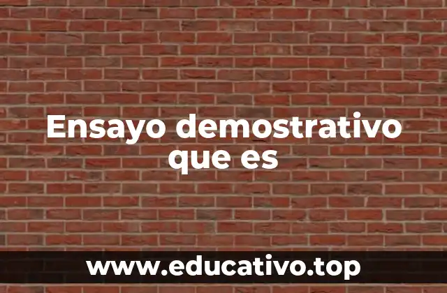 Ensayo demostrativo que es