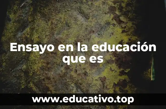 Ensayo en la educación que es