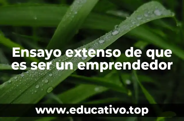 Ensayo extenso de que es ser un emprendedor