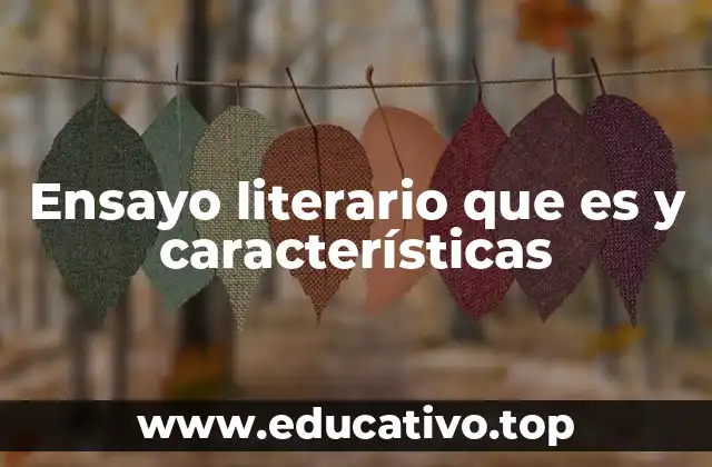 Ensayo literario que es y características