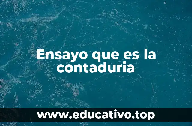 Ensayo que es la contaduria