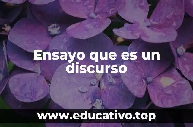 Ensayo que es un discurso