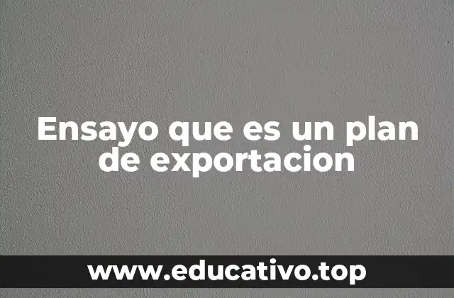 Ensayo que es un plan de exportacion