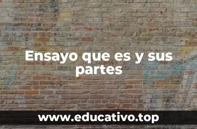 Ensayo que es y sus partes