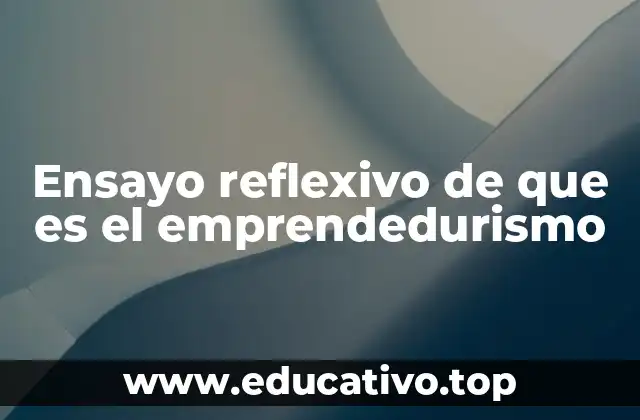 Ensayo reflexivo de que es el emprendedurismo