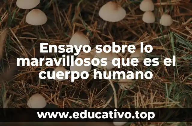 Ensayo sobre lo maravillosos que es el cuerpo humano