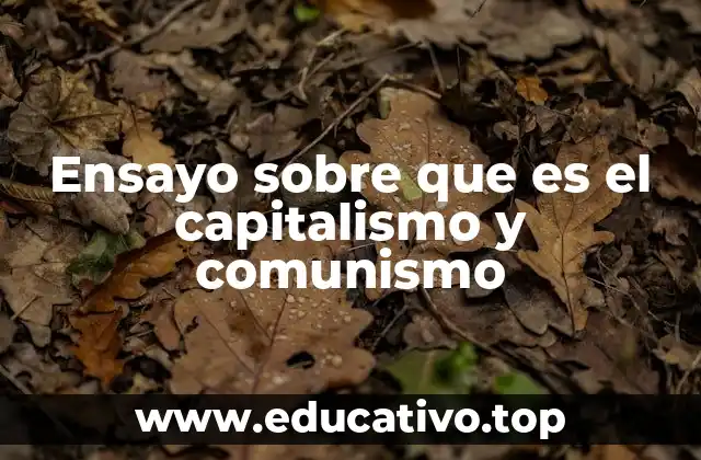 Ensayo sobre que es el capitalismo y comunismo